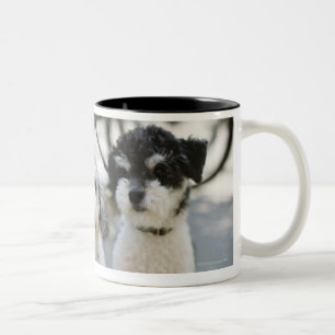 Taza Bicolor Tres perros