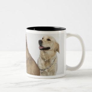 Taza Bicolor tres perros que miran todo a la derecha