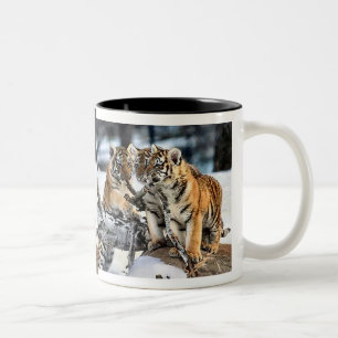 Taza Bicolor Tres tigre Cubs en regalos del arte de la nieve