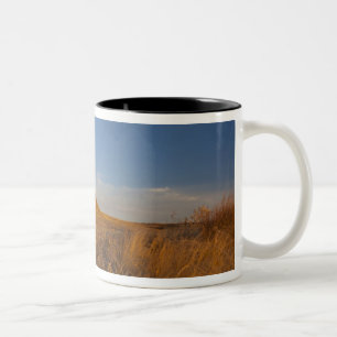 Taza Bicolor Tribunal y Jailhouse Rock cerca de Bridgeport