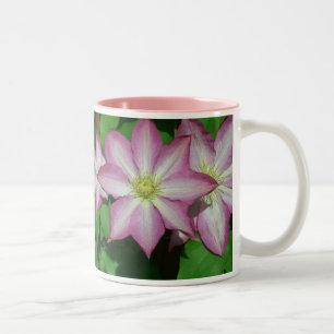 Taza Bicolor Trío de vinos de Primavera Blanca y Rosa de Clemat