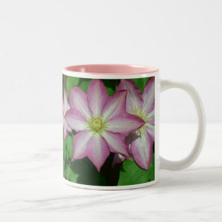 Taza Bicolor Trío de vinos de Primavera Blanca y Rosa de Clemat