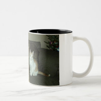 Taza Bicolor Trío sucio