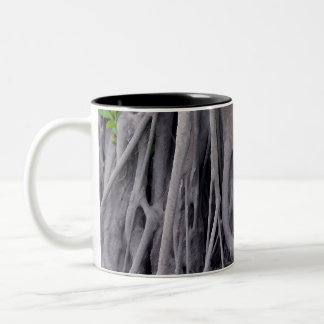 Taza Bicolor Tronco de baniano