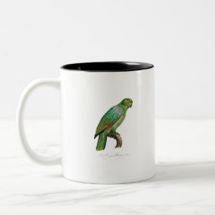Taza Bicolor tropical macaw parrot