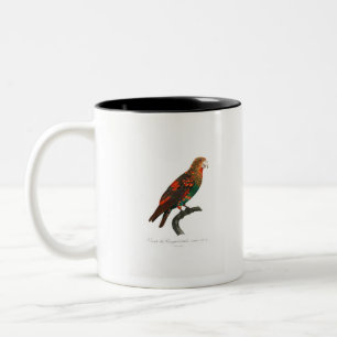 Taza Bicolor tropical macaw parrot