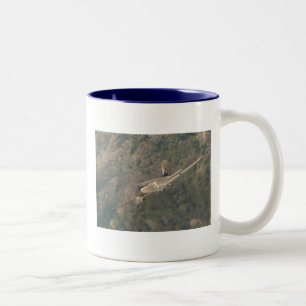 TAZA BICOLOR TTA DC-3