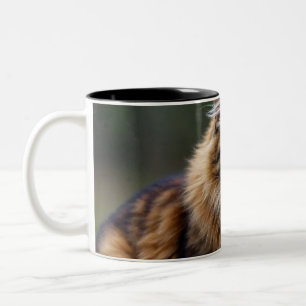 Taza Bicolor Tu Felin,Amantes de los Gatos