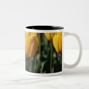 Taza Bicolor Tulipanes 3