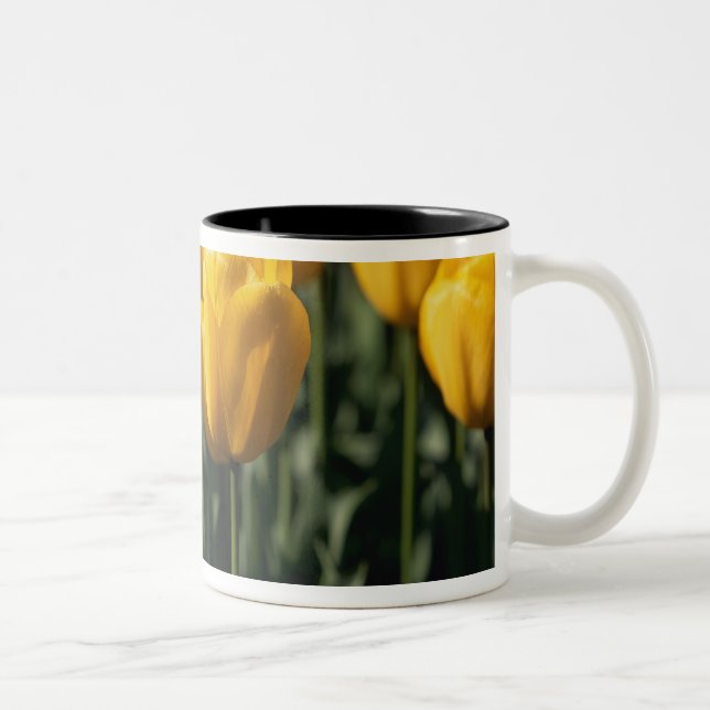 Taza Bicolor Tulipanes 3 (Derecha)