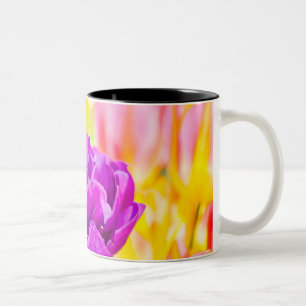 Taza Bicolor Tulipanes encantadores 15