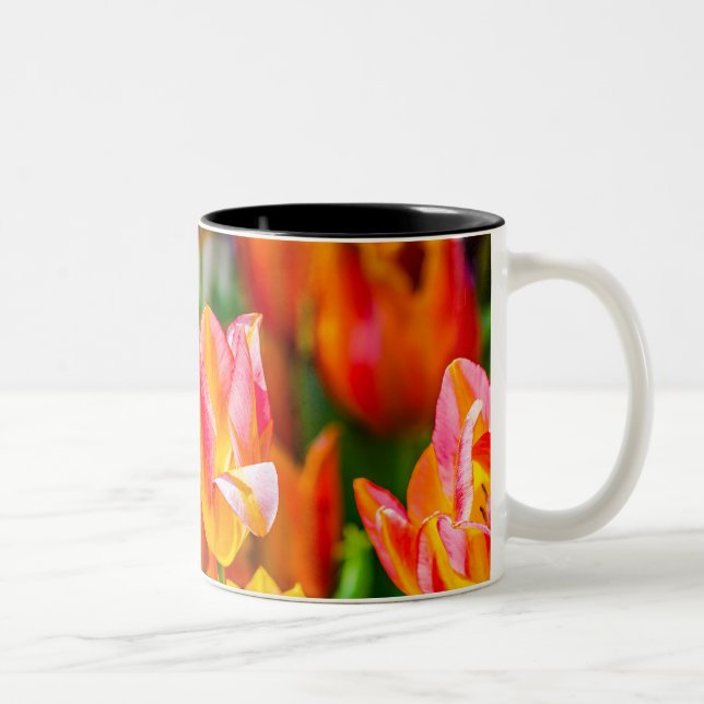 Taza Bicolor Tulipanes encantadores 17 (Derecha)