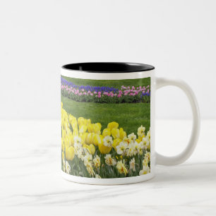 Taza Bicolor Tulipanes, Jacintos de uva y Narcisos,