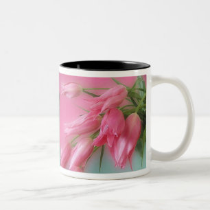 Taza Bicolor Tulipanes rosados