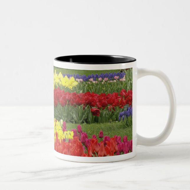 Taza Bicolor Tulipanos, jacinto de uva y daffodilo, 2 (Derecha)