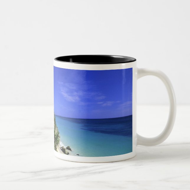 Taza Bicolor Tulum, México 2 (Derecha)