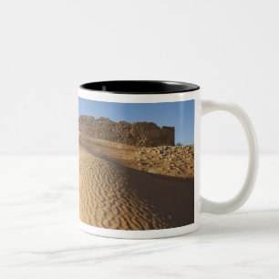 Taza Bicolor Túnez, zona Ksour, Ksar Ghilane, Gran Erg 4