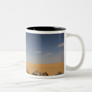 Taza Bicolor Túnez, zona Ksour, Ksar Ghilane, Gran Erg 4