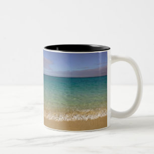 Taza Bicolor Turcas y Caicos, Isla Providenciales, Grace 2