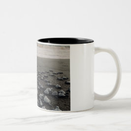 Taza Bicolor Turtles Coffee Mug