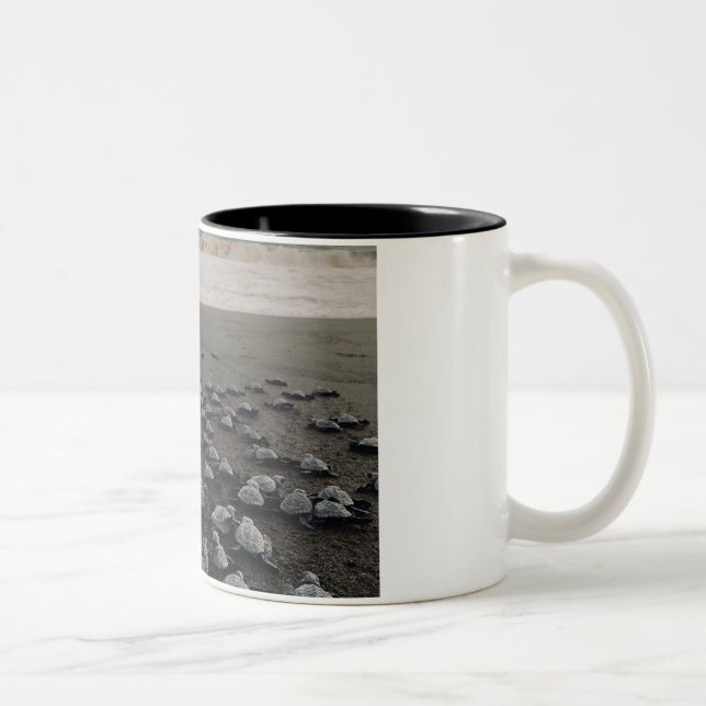 Taza Bicolor Turtles Coffee Mug (Derecha)