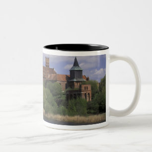 Taza Bicolor UE, Polonia, Pomerania, Malbork. Europa's