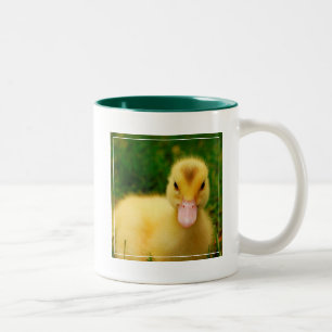 Taza Bicolor Un anadón minúsculo