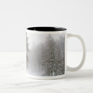Taza Bicolor Un árbol que se inclina en una trayectoria nevada