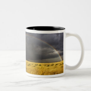 Taza Bicolor Un arcoíris que aparece a través de una neblinosa 