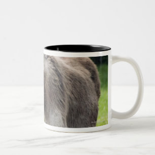 Taza Bicolor Un burro