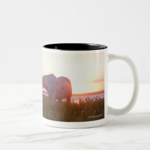 Taza Bicolor Un caballo en un campo