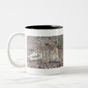Taza Bicolor Un Club De Leones Con Una Mirada Dulce E Inocente.
