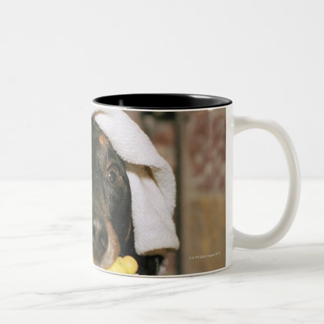 Taza Bicolor Un dachshund que es bañado (Derecha)