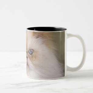 Taza Bicolor Un enojado, trastorno, punto de descanso de la