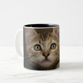 Taza Bicolor Un gatito muy dulce del Tabby