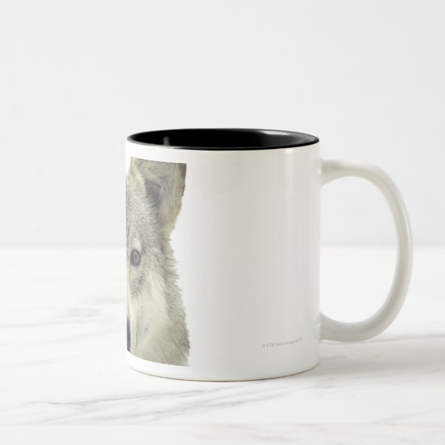 Taza Bicolor Un lobo (Derecha)