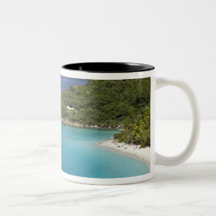 Taza Bicolor Un paisaje de la bahía de Caneel desde una carrete