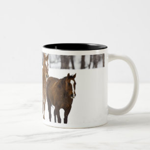 Taza Bicolor Un paisaje invernal de carrera