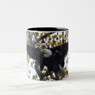 Taza Bicolor Un par de águilas calvas en el café de la tempor