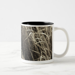 Taza Bicolor Un perrito negro en un prado