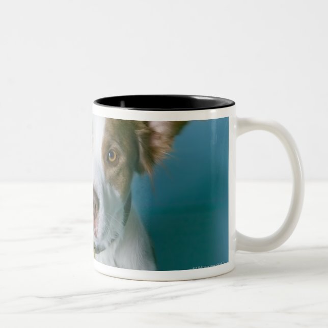 Taza Bicolor Un perro (Derecha)