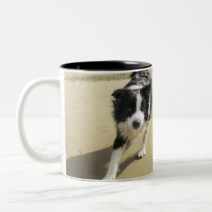 Taza Bicolor Un perro del border collie que corre en la playa