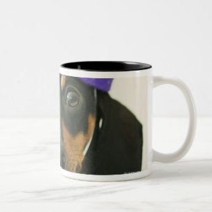 Taza Bicolor Un perro que lleva un gorra divertido