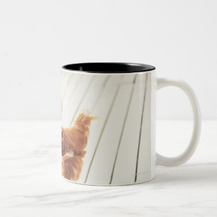 Taza Bicolor Un pollo y dos polluelos en un piso de madera,