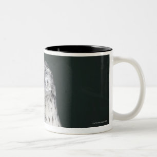 Taza Bicolor Un sello de puerto