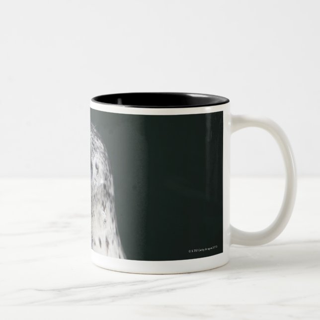 Taza Bicolor Un sello de puerto (Derecha)