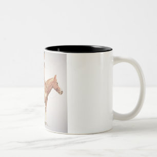 Taza Bicolor Una Cheyenne Brave, 1901 (litho del color)