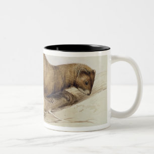 Taza Bicolor Una comadreja, 1832 (w/c, ove de la pluma, de la