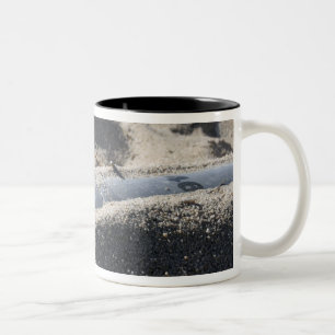 Taza Bicolor Una exhibición estática de una cáscara de la