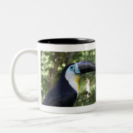 Taza Bicolor Una foto hermosa de Toucan